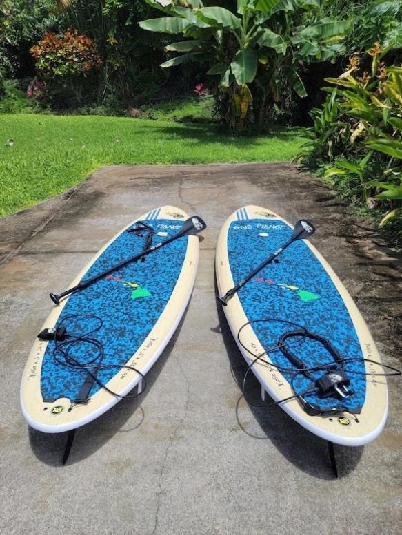 Newly Renovated Condo With Sup Paddle Boards And Golf Clubs Included Kailua-Kona Eksteriør billede