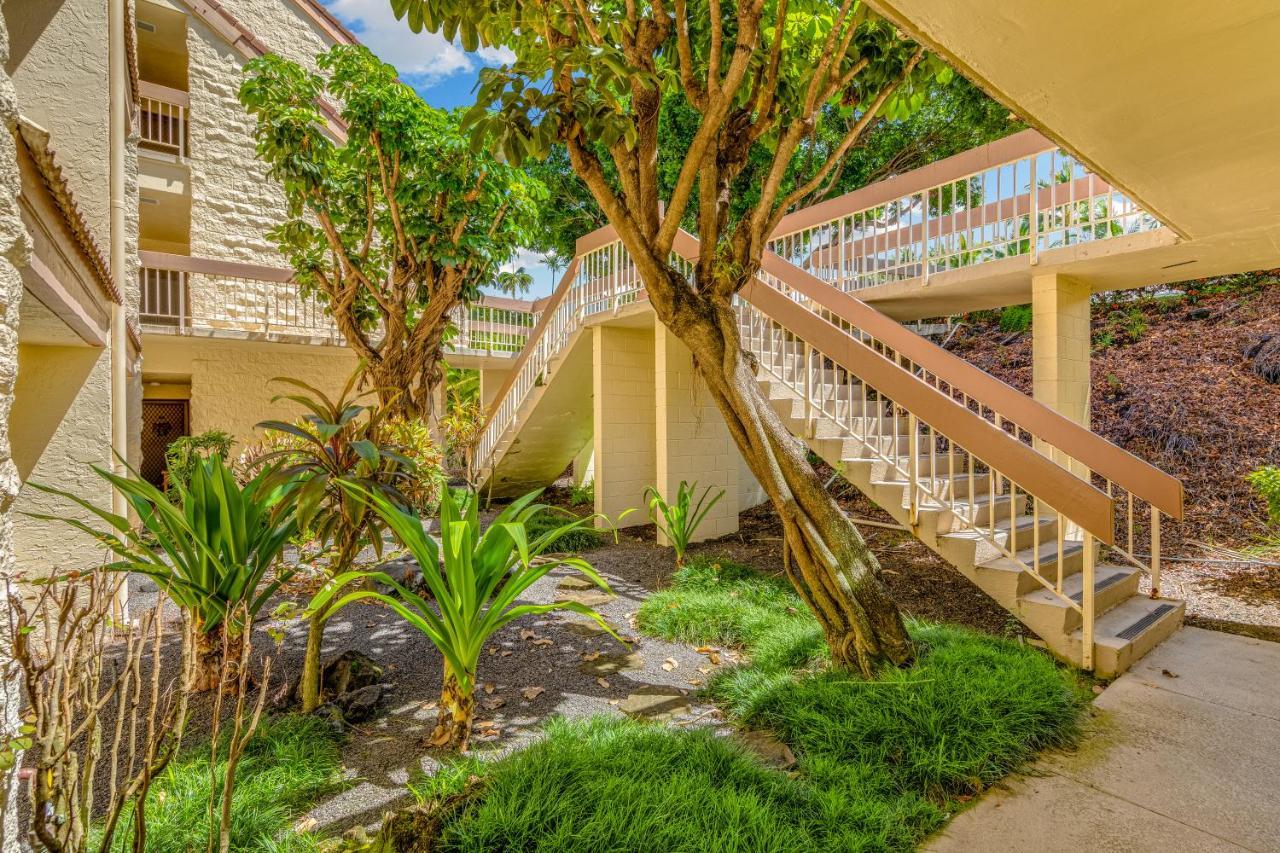 Newly Renovated Condo With Sup Paddle Boards And Golf Clubs Included Kailua-Kona Eksteriør billede