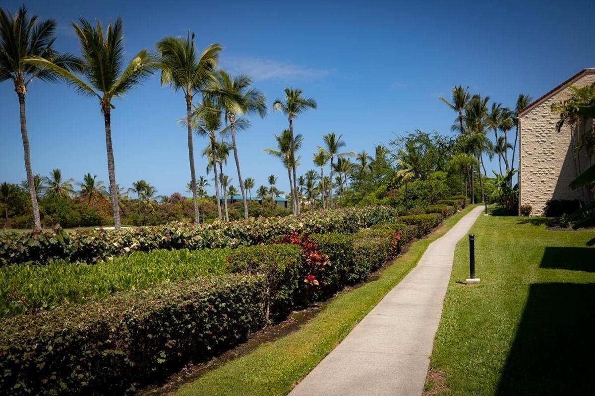 Newly Renovated Condo With Sup Paddle Boards And Golf Clubs Included Kailua-Kona Eksteriør billede
