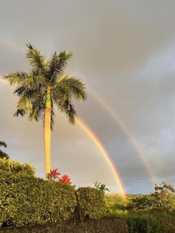 Newly Renovated Condo With Sup Paddle Boards And Golf Clubs Included Kailua-Kona Eksteriør billede